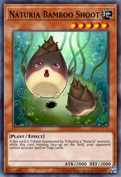 Pousse de Bambou Naturia