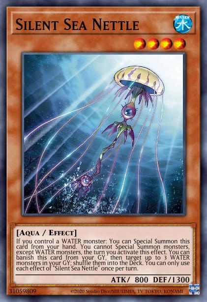 Ortie de Mer Silencieuse