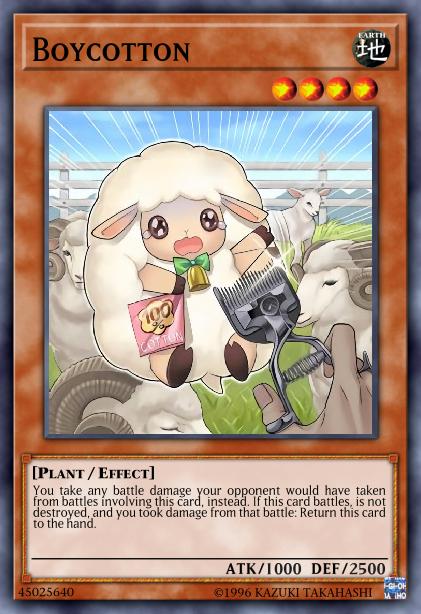 Boycoton