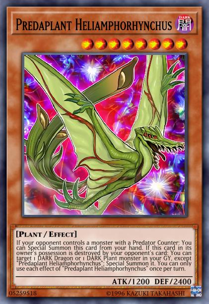 Héliamphorhynchus Prédaplante