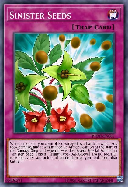 Graines de Rose Démoniaque