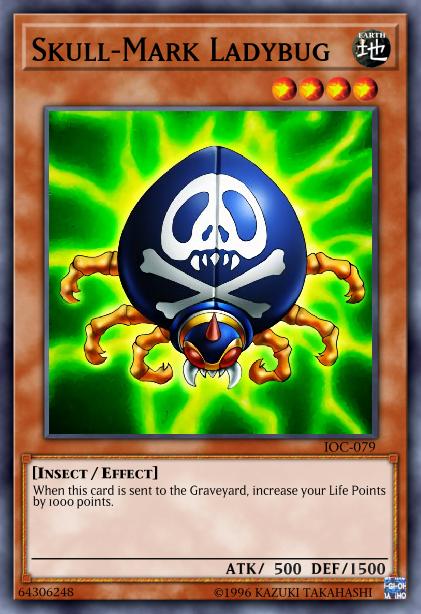 Coccinelle à Marque de Crâne