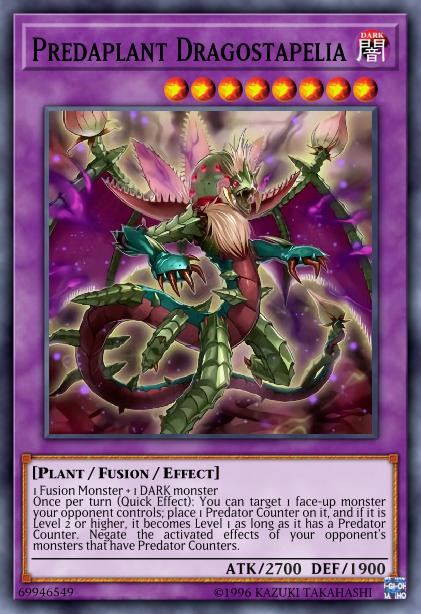 Dragostapelia Prédaplante