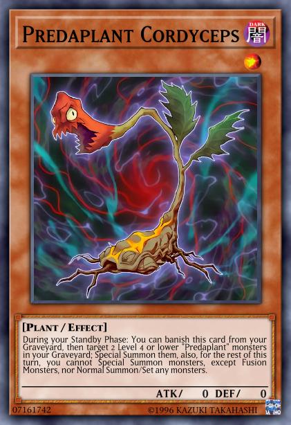 Cordyceps Prédaplante