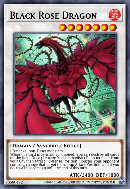 Dragon Rose Noire