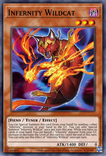 Chat Sauvage Enfernité