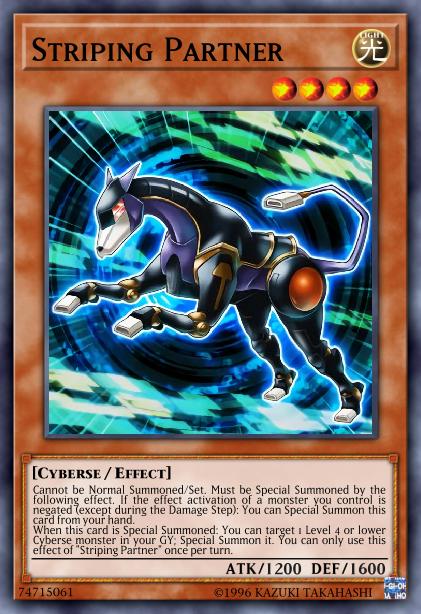 Partenaire de Striping