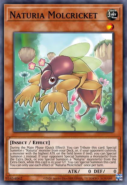 Taupe-Grillon Naturia