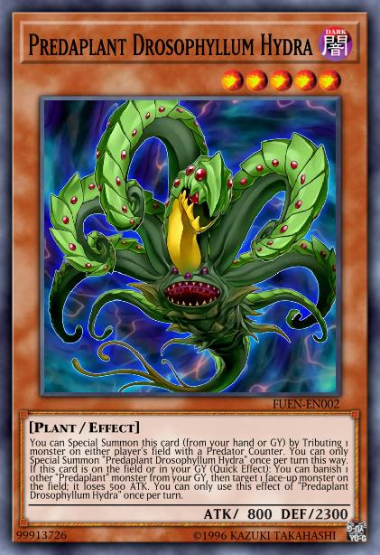 Hydre Drosophyllum Prédaplante