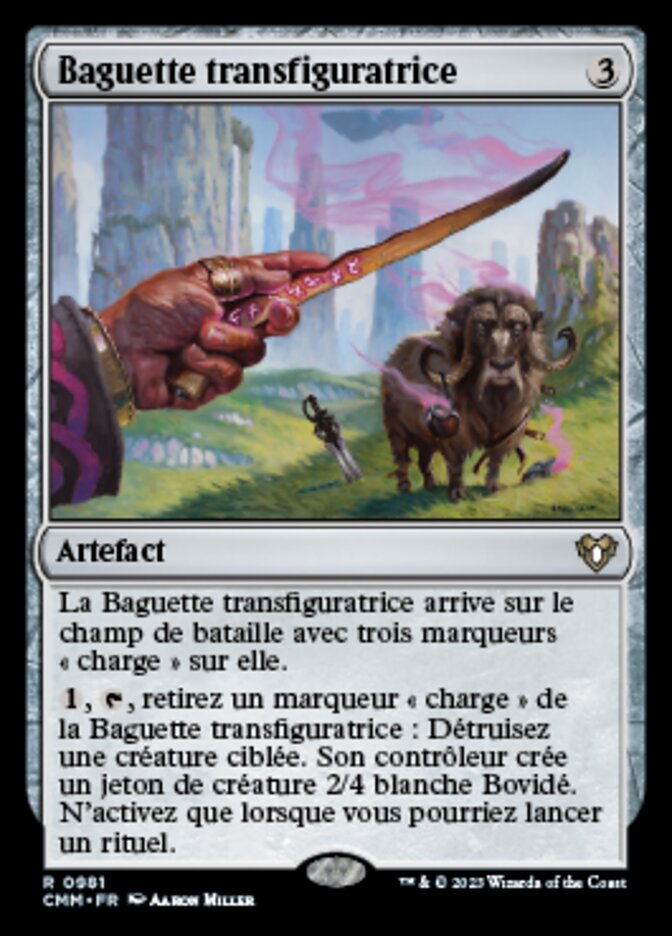 Baguette transfiguratrice