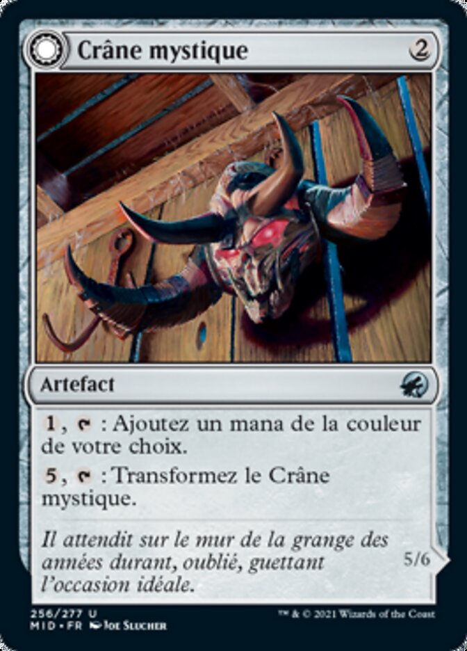 Crâne mystique