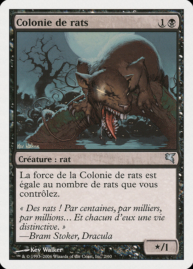 Colonie de rats