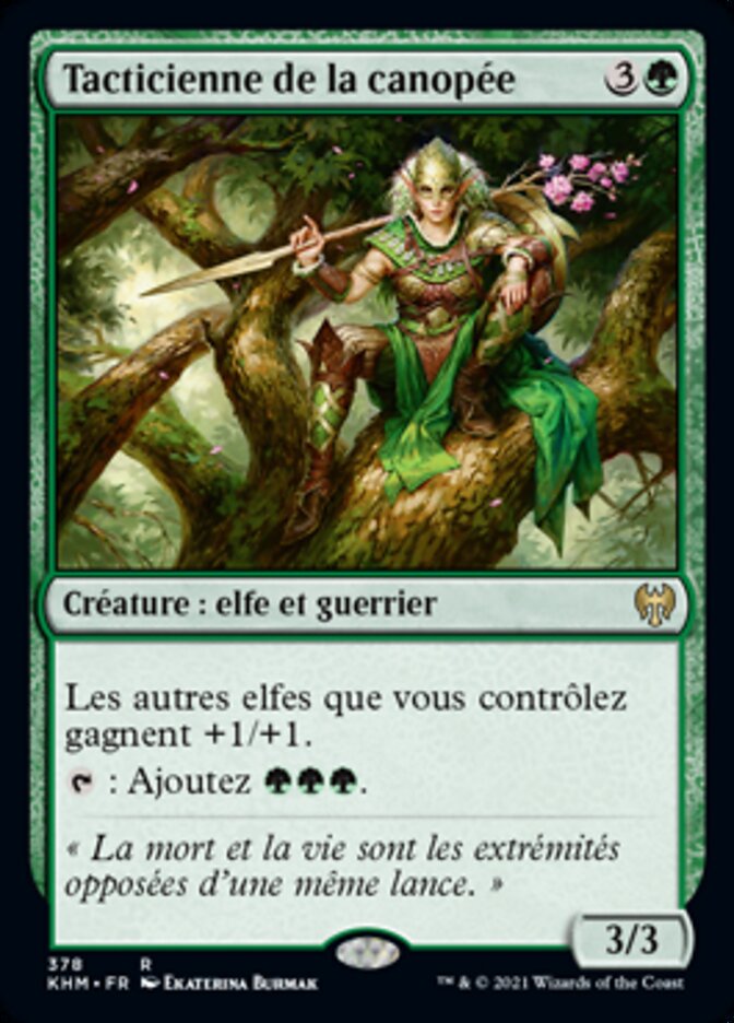 Tacticienne de la canopée