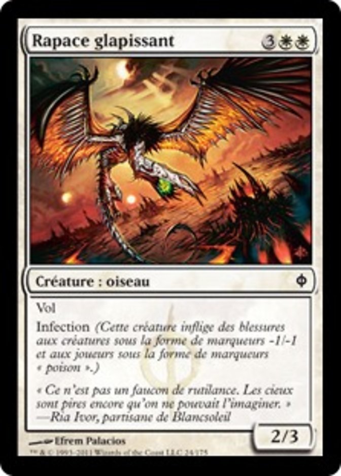 Rapace glapissant