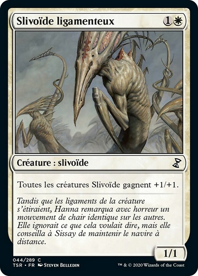 Slivoïde ligamenteux