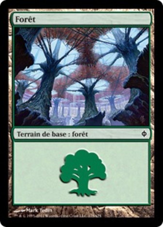 Forêt