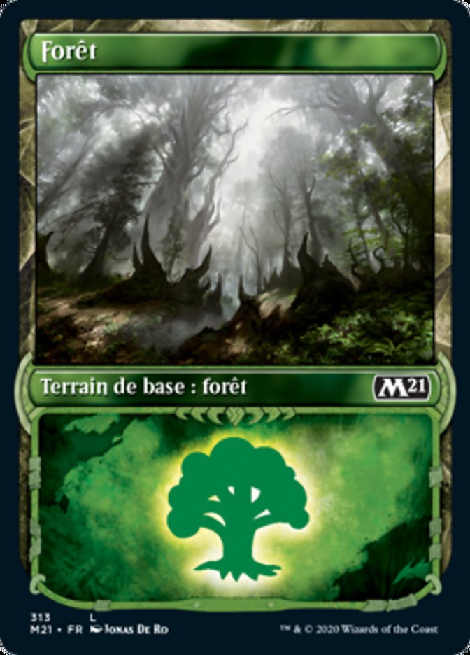 Forêt