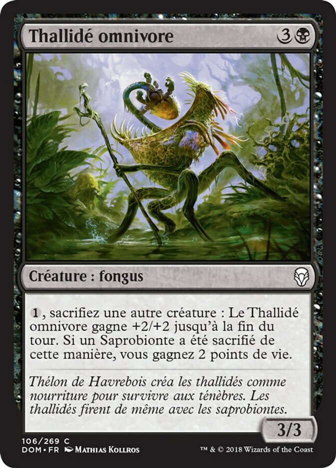 Thallidé omnivore