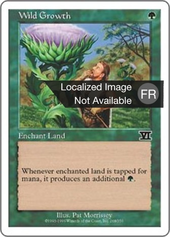 Végétation luxuriante