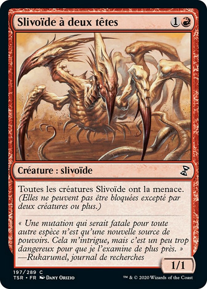 Slivoïde à deux têtes