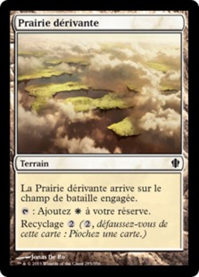 Prairie dérivante