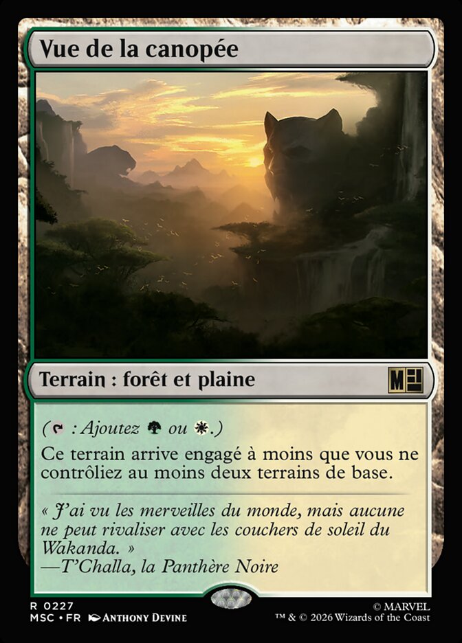 Vue de la canopée