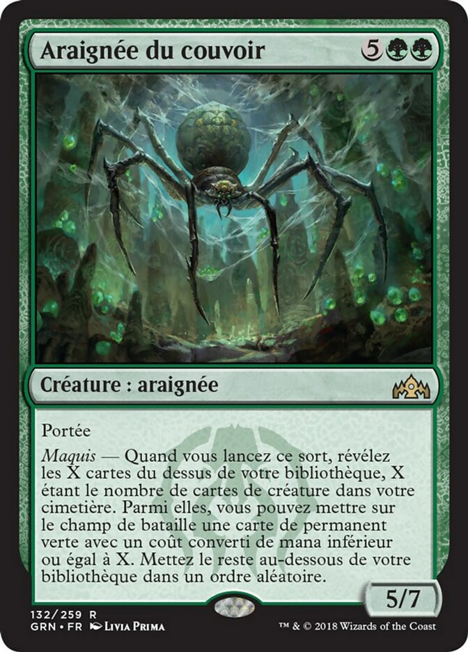 Araignée du couvoir