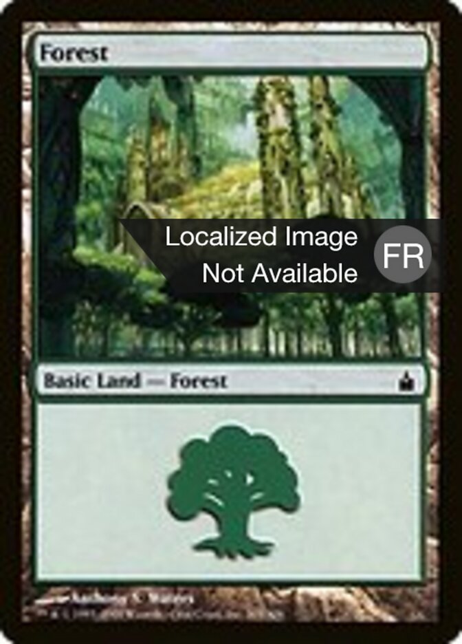 Forêt