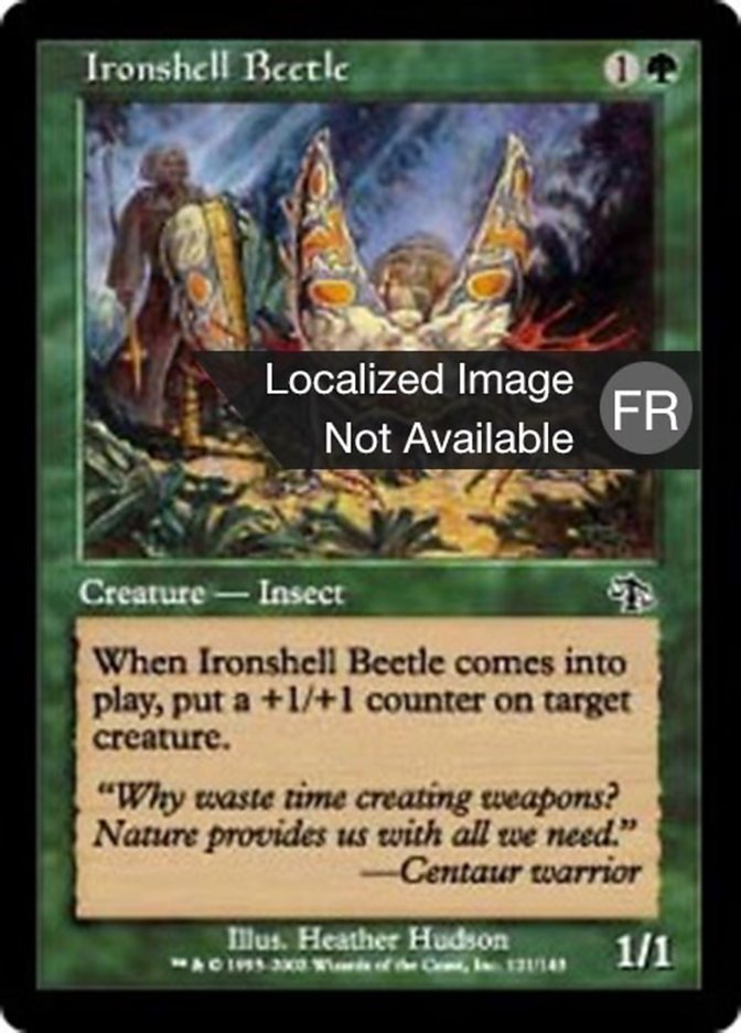 Scarabée à carapace de fer