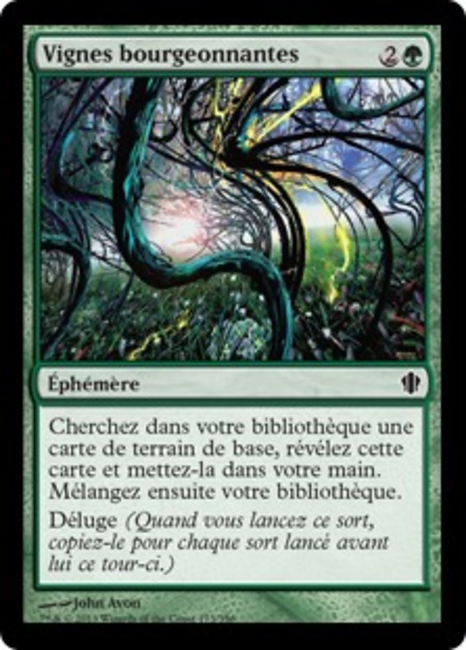 Vignes bourgeonnantes