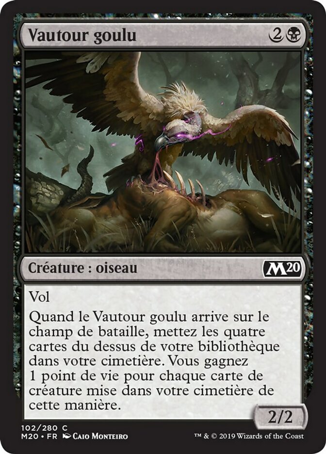 Vautour goulu