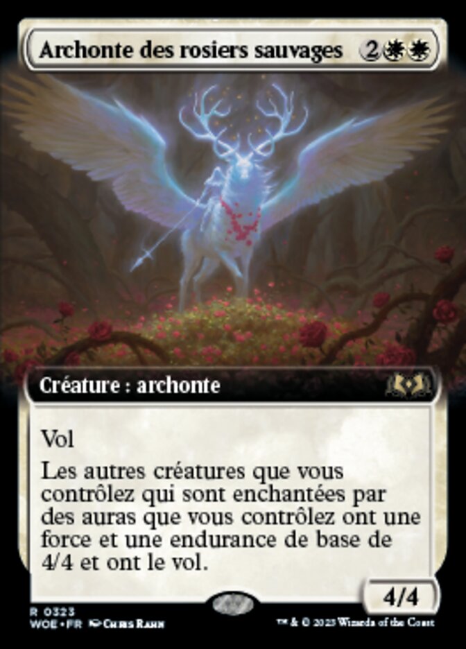 Archonte des rosiers sauvages