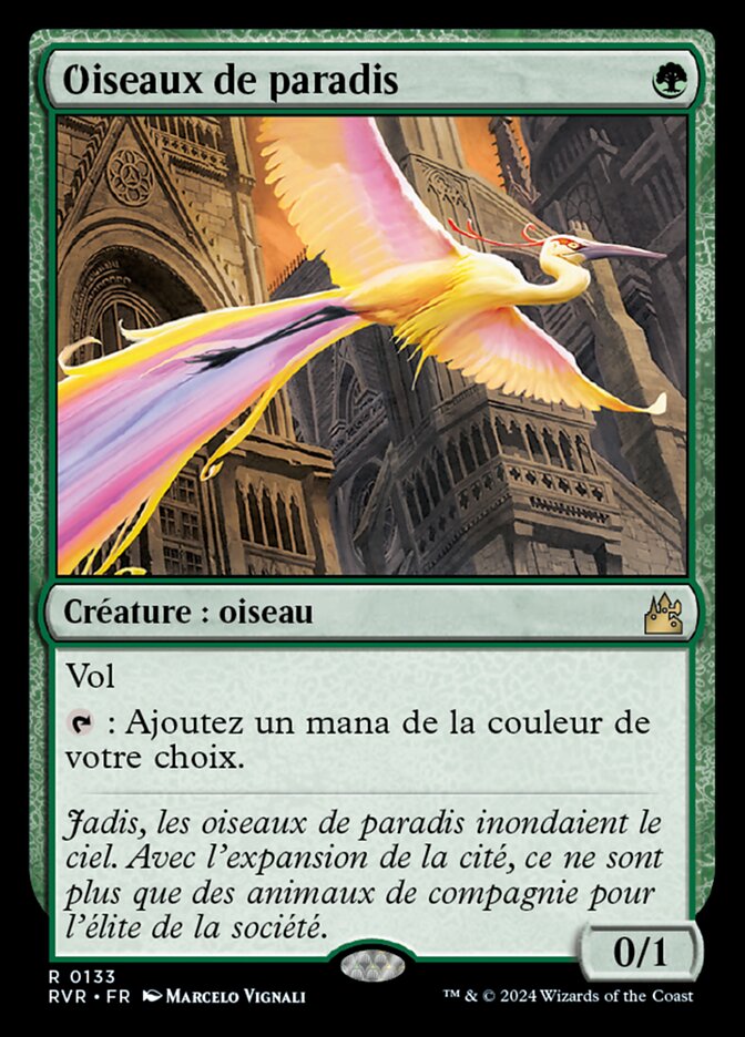 Oiseaux de paradis
