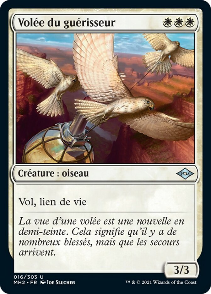 Volée du guérisseur