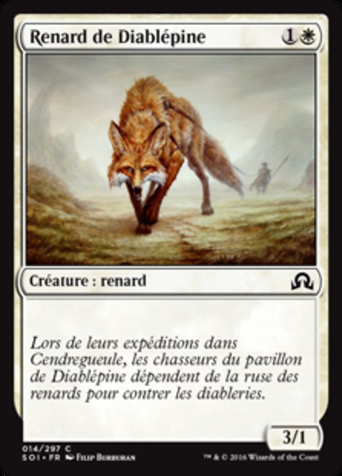 Renard de Diablépine