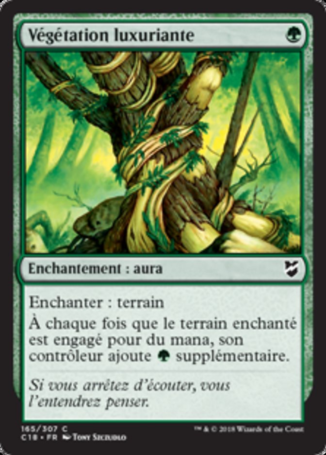 Végétation luxuriante