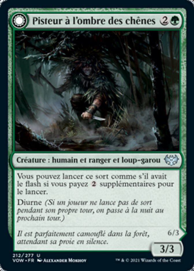 Pisteur à l'ombre des chênes