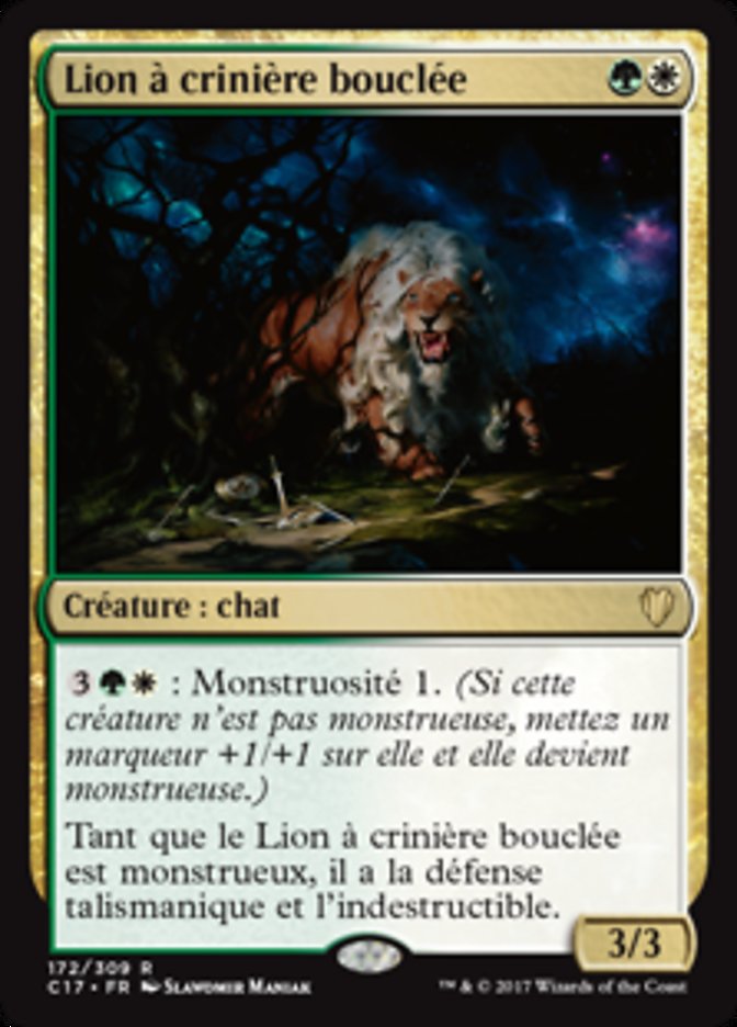 Lion à crinière bouclée