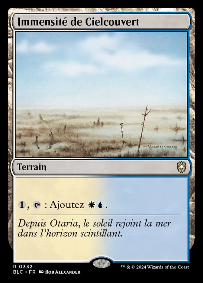 Immensité de Cielcouvert