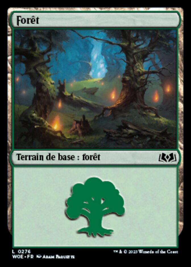 Forêt
