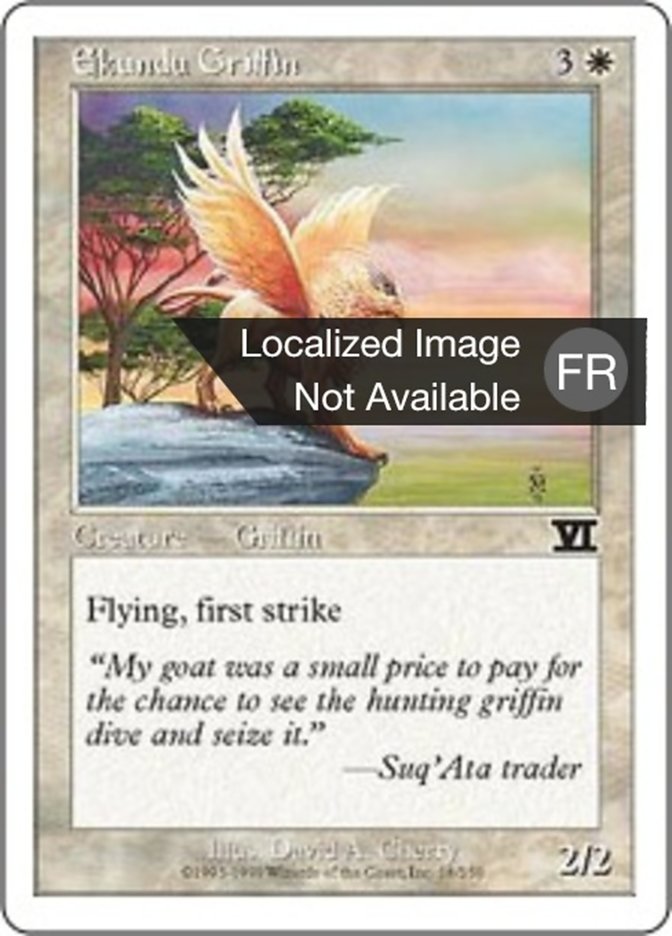 Griffon de l'Ekoundou