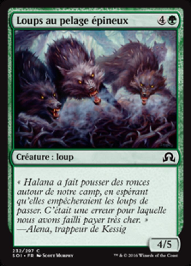 Loups au pelage épineux