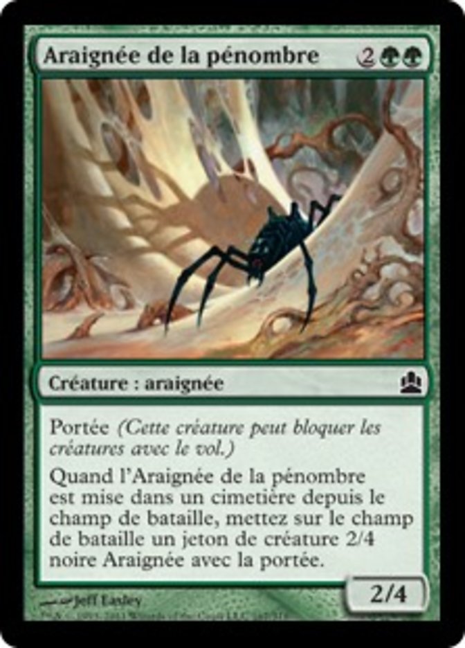 Araignée de la pénombre