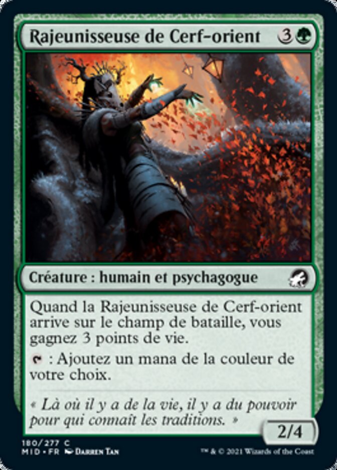Rajeunisseuse de Cerf-orient
