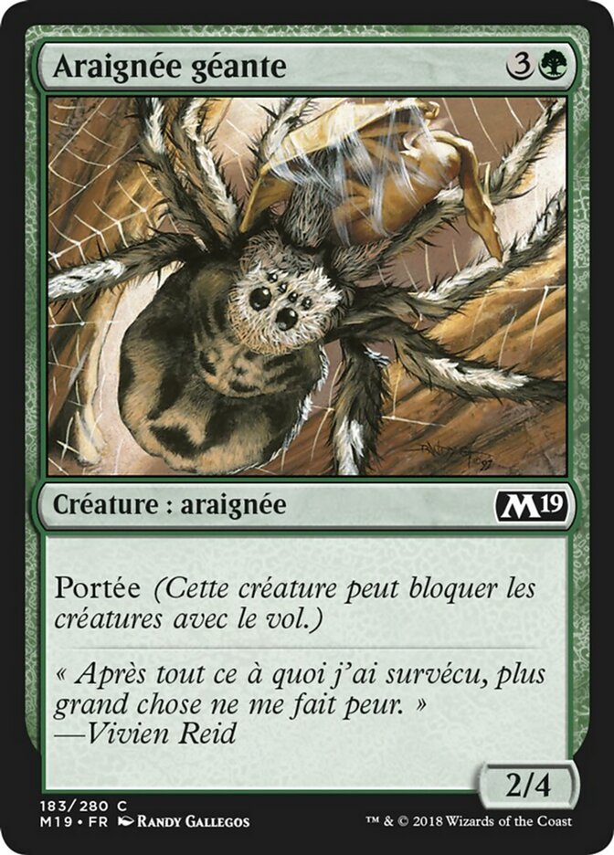 Araignée géante