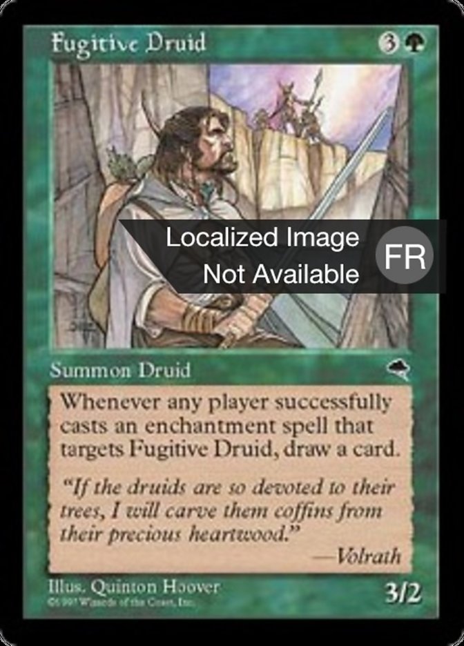 Druide fugitif