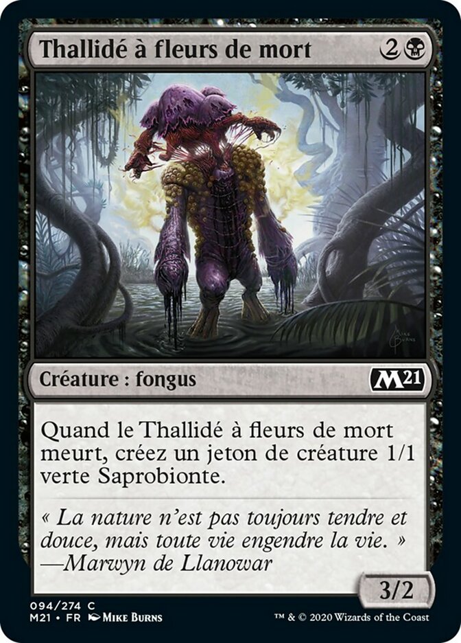 Thallidé à fleurs de mort