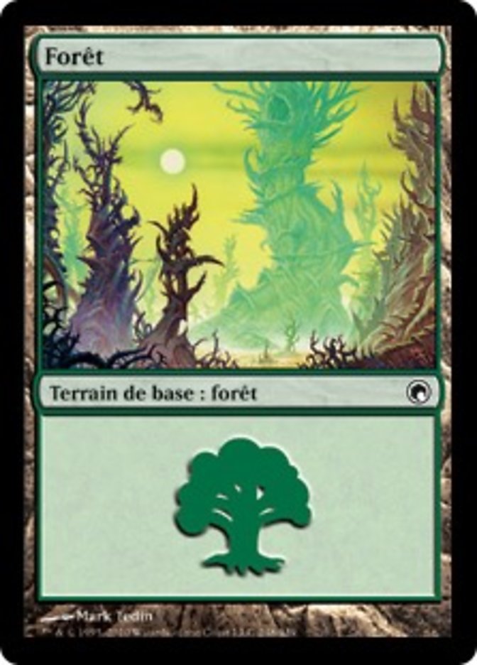 Forêt