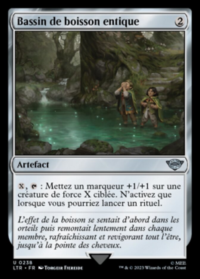 Bassin de boisson entique