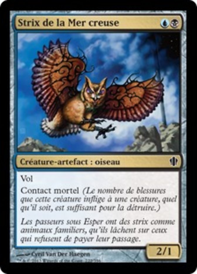 Strix de la Mer creuse